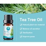 Essential Oil Blend Manufacturer - Lavender Peppermint Cedarwood Eucalyptus - Animal Health Chamomile Frankincense Bergamot Sweet Orange Tea Tree Oil