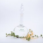 Eucalyptus Oil Manufacturer - Supply Wholesale Price 10ml Rollerball Type - Pest Control Stay Awake Essential Oil