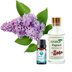 Eugenol Manufacturer - Chinese Manufacturer High Quality - Oral Care Perfume Food Additives Free Sample