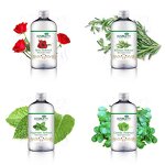 Peppermint Hydrosol Manufacturer - Hot Selling Wholesale Price MOQ 1KG - Natural Plant Extract Skin Care Hydrosol