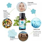 Oregano Oil Manufacturer - Factory Wholesale Bulk Free Sample Private Label Feed Additive - Poultry Pure Natural Organic Essential Oil