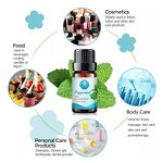 Peppermint Essential Oil Manufacturer - Wholesale Bulk 30ml Free Sample - Private Label Pure Natural Organic Insect Repellent