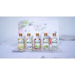 Essential Oil Manufacturer - Customize Aromatherapy Diluted Private Label 0.33oz Roll on - Mint Oregano Tea Tree Lemon Grass Eucalyptus Lavender Oil