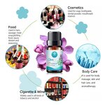 Clove Oil Manufacturer - Factory Wholesale Bulk Free Sample Private Label Hair Care - Toothache Pure Natural Organic Essential Oil