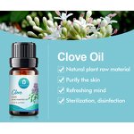 Clove Oil Manufacturer - Factory Wholesale Bulk Free Sample Private Label Hair - Toothache Pure Natural Organic Essential Oil