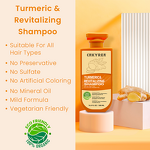Hair Growth Shampoo Manufacturer - Turmeric - Gentle Exfoliating Strengthens Follicles Anti Dandruff Nourishing