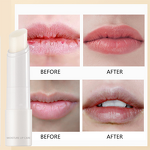 Lip Balm Stick Manufacturer - 100% Plant Essence - Women 5g Nourishing Moisturizing Honey Dry Lips