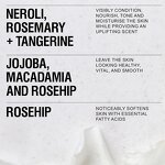 Shower Gel Manufacturer - Customized Chamomile - Nourishing Rosemary Jojoba Refreshing Skin Care