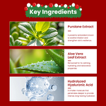 Face Lotion Manufacturer - Christmas Limited Edition - Sensitive Skin Soothing Repair Hyaluronic Acid