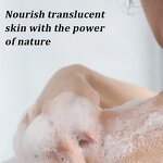 Shower Gel Manufacturer - Wholesale Herbal Peppermint - Coconut Tea Tree Refreshing Bath Skin Care