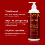 Hair Growth Shampoo Manufacturer - Christmas Limited Edition - Argan Oil Biotin Soothe Scalp Anti Dandruff Reduce Hair Fall