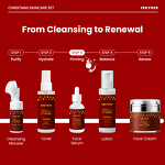 Niacinamide Serum Manufacturer - Christmas Limited Edition - Skin Brightening Glow Tightening Moisturizing