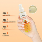 Facial Toner Manufacturer - OEM Organic Turmeric - Aloe AHA Whitening Anti Acne Fades Blemishes