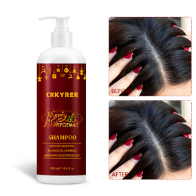 Hair Growth Shampoo Manufacturer - Christmas Limited Edition - Argan Oil Biotin Soothe Scalp Anti Dandruff Reduce Hair Fall