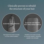 Hair Mask Manufacturer - Customized Encapsulated Cellular - Defends Thermal Damage Color Moisturizing Repair