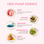 Lip Balm Stick Manufacturer - Vegan Squalane - Women 5g Hydrating Repairing Peach Honey Dry Lips