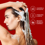 Hair Growth Shampoo Manufacturer - Christmas Limited Edition - Argan Oil Biotin Soothe Scalp Anti Dandruff Reduce Hair Fall