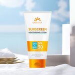 Sunscreen Cream Manufacturer - High Protection Long-Lasting SPF+++30 Vegan Organic UVA UVB Waterproof Shea Butter