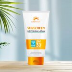 Sunscreen Cream Manufacturer - High Protection Long-Lasting SPF+++30 Vegan Organic UVA UVB Waterproof Shea Butter