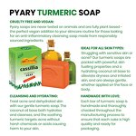 Soap Manufacturer - Ayurvedic Turmeric for Body Hand Wash Moisturizing Kojic Acid Vitamin c Ginger