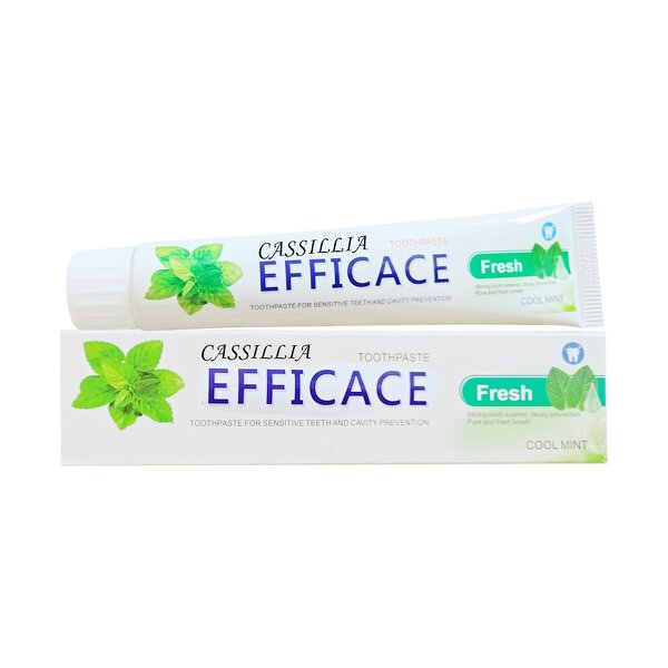 Toothpaste Manufacturer - Customized Nature Organic Herbal Cool Mint Fresh Oral Teeth Fluoride Free Foam Whitening