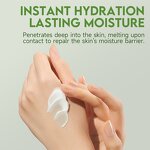 Face Care Cream Manufacturer - Korean Glass Skin Reduce Wrinkles Deep Hydration with Amla & OEM