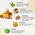 Hair Mask Manufacturer - 120ml Purple Ginger Collagen Damage Repair Keratin for All Type & OEM/ODM