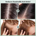 Scalp Scrub Manufacturer - Sea Salt Mint Tea Tree Anti-Dandruff with Rosemary Oil Massager