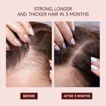 Hair Shampoo Manufacturer - Sulfate Free Rosemary Growth Repair Moisturizing Organic Amino Acid Keratin Treatment