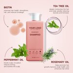 Hair Shampoo Manufacturer - Sulfate Free Rosemary Growth Repair Moisturizing Organic Amino Acid Keratin Treatment