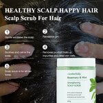 Scalp Scrub Manufacturer - Sea Salt Mint Tea Tree Anti-Dandruff with Rosemary Oil Massager