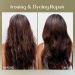 Hair Mask Manufacturer - for Dry Damaged Hair with Collagen Caviar Repair Moisturizing Keratin Treatment & OEM/ODM