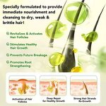 Hair Growth Shampoo Manufacturer - 500ml Tea Tree Oil Biotin Anti-Dandruff Rosemary for Lice Scalp Care