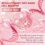 Skincare Set Manufacturer - Essence Bio Lifting NAD Anti-Aging Peptides Serum Face Firming Wrinkles Elasticity