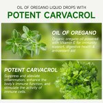 Oregano Oil Drops Manufacturer - Wild Organic Mediterranean Liquid Non-GMO Vegan & Factory Custom