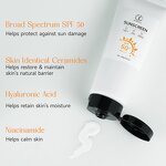 Sunblock Cream Manufacturer - Korean Skincare Face Care Anti Uv Water Resistant Natural Spf 50 for Face