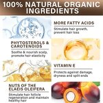 Batana Oil Manufacturer - Vegan Anti Hair Loss Treatment Growth Sulfate-Free Castor Oil Herbal Ingredient & OEM/ODM