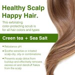 Scalp Scrub Shampoo Manufacturer - Green Tea Sea Salt Oil Control Sulfate-free Vegan for Scalp Health & OEM/ODM Factory
