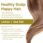 Scalp Scrub Manufacturer - Sea Salt Organic Lemon Citrus Anti Dandruff Detoxifying Spa Massage & OEM/ODM Factory