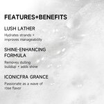 Shampoo & Conditioner