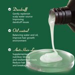 Shampoo Set Manufacturer - Sulfate Free Rosemary Mint Anti-Dandruff Oil Control Keratin Treatment Hair Mask & OEM/ODM