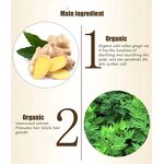 Hair Mask Manufacturer - Herbal Ginger Protein Oil Control Vegan Biotin Hair-Loss Prevention Leave in & Wholesale