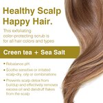 Scalp Scrub Manufacturer - Sea Salt Organic Lemon Citrus Anti Dandruff Detoxifying Spa Massage & OEM/ODM Factory