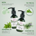 Shampoo Conditioner Manufacturer - Anti Dandruff Oil Control Organic Rosemary Tea Tree Oil Hair Growth & Wholesale
