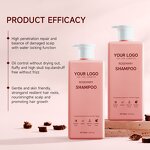 Hair Shampoo Manufacturer - Sulfate Free Rosemary Growth Repair Moisturizing Organic Amino Acid Keratin Treatment