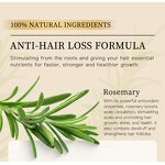 Hair Growth Oil Manufacturer - Rosemary Mint Scalp Care Natural Hot Oil Treatment Massage