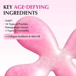 Face Serum Manufacturer - Cross-Border Bakuchiol Volumizing Anti-Aging Liquid Focusing on Skin Firmness Elasticity