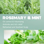Scalp Scrub Manufacturer - Sea Salt Mint Tea Tree Anti-Dandruff with Rosemary Oil Massager