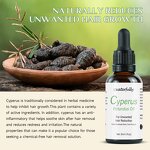 Essential Oil Manufacturer - 100% Pure Natural Organic Cyperus Rotundus for Skin Hair Removal & OEM Wholesale