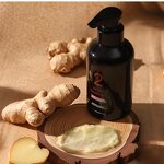 Hair Shampoo Manufacturer - Ginger Herbal Moisturizing Anti-Dandruff for Oily Fluffy Growth Regrowth